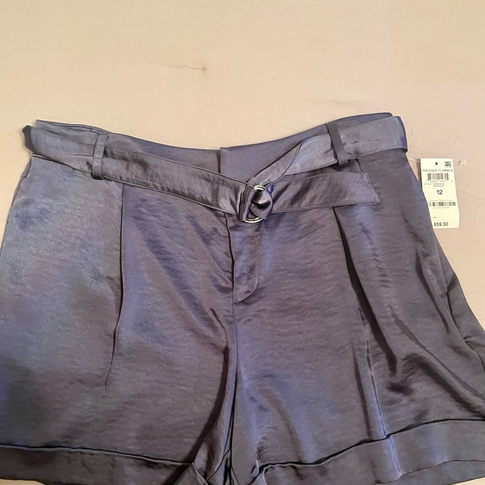 Elegant Blue Satin Women's Shorts